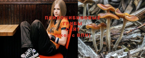 спайс Тында