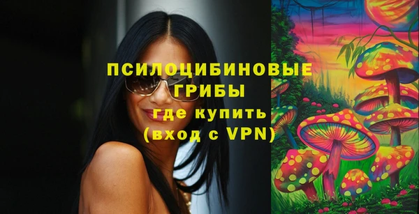 спайс Тында