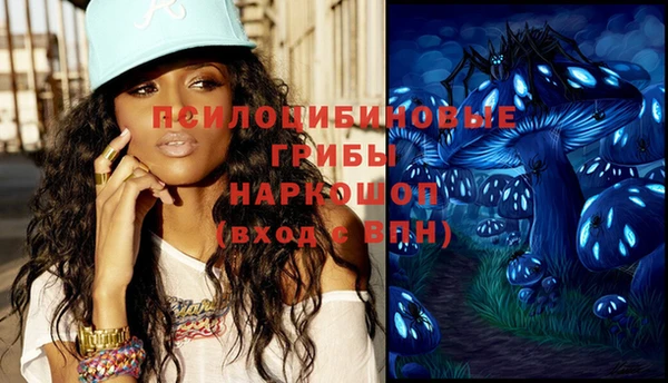 ПСИЛОЦИБИНОВЫЕ ГРИБЫ Тутаев